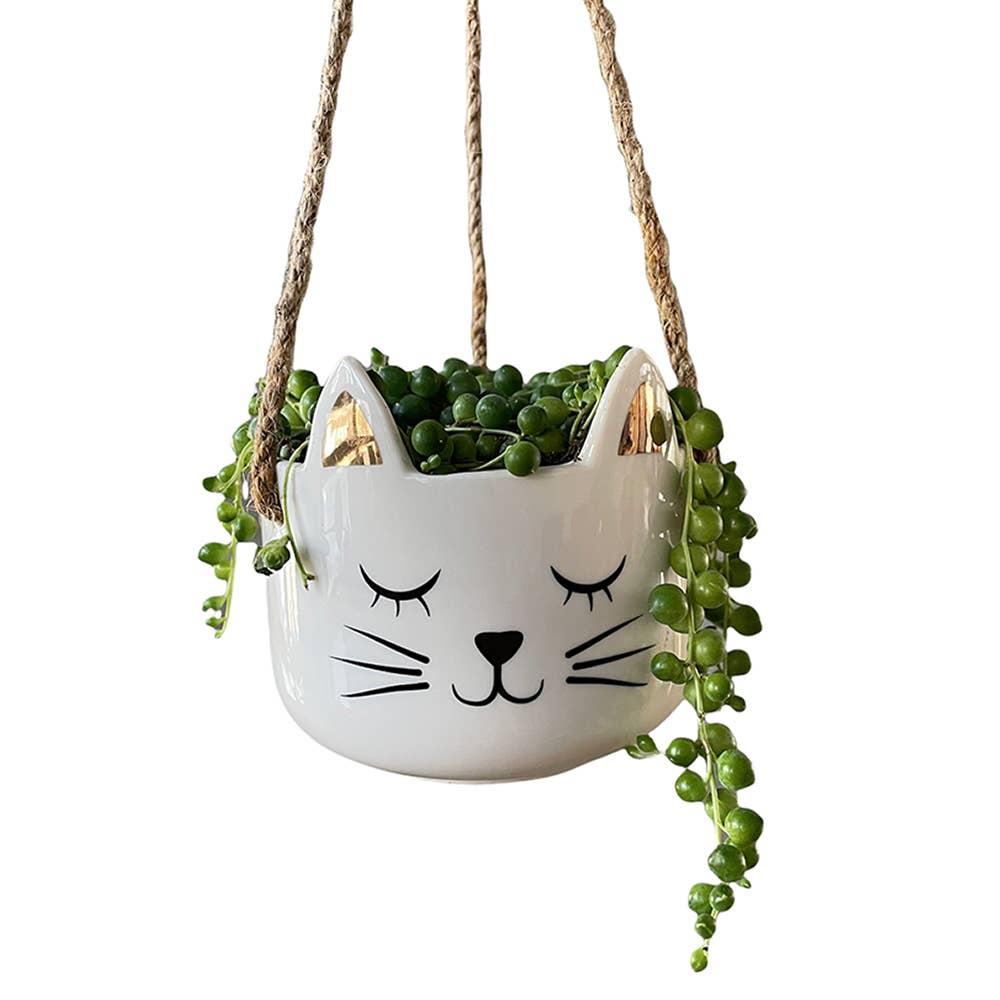 Hanging Planter | Succulent Planter | Planter Pot | Cat