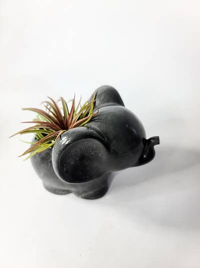 Elephant Concrete Planter | Cute Pottery Animal AirPlant pot